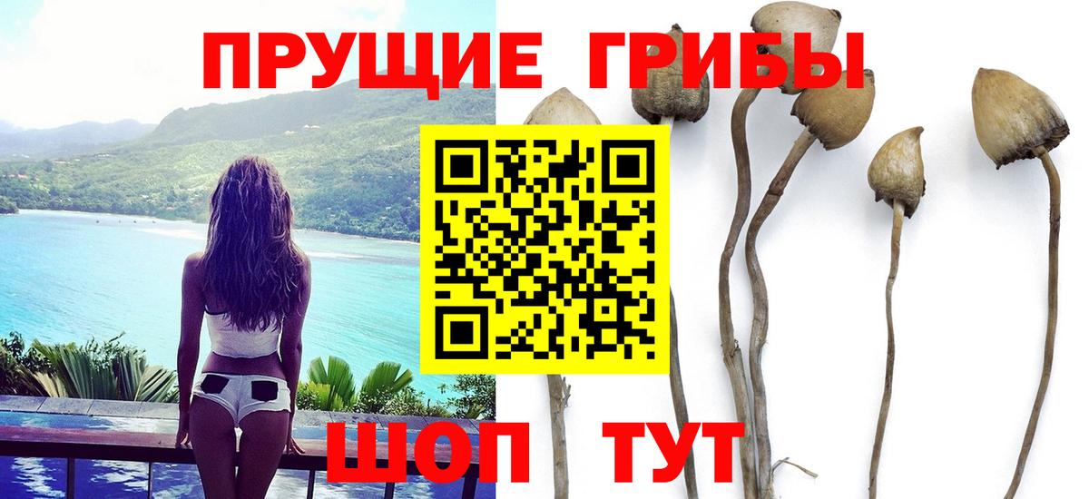 Псилоцибиновые грибы Psilocybine cubensis  Вход с VPN  Златоуст 