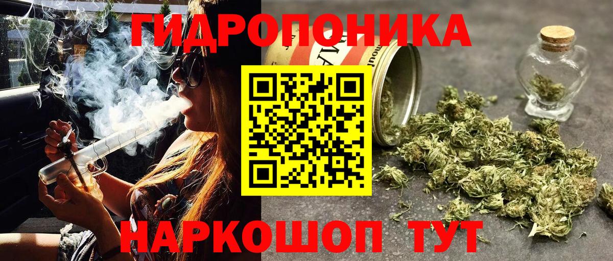 Златоуст  Канабис тримм  Бошки Шишки конопля  Конопля гибрид  Конопля OG Kush  Вход с VPN 